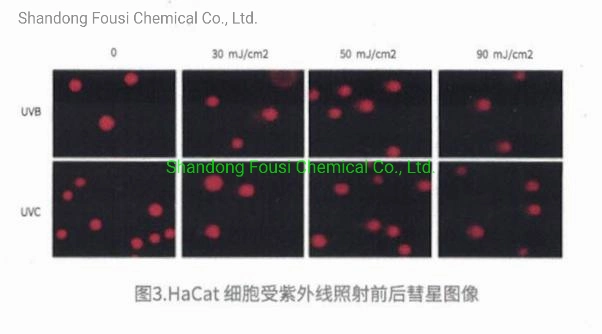 Cosmetic Anti-Aging Raw Materials Ectoine 96702-03-3 Moisturizing Soothing