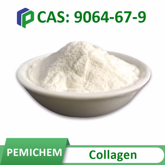 Manufacture Supply 99% Pure Cosmetic Raw Materials Tranexamic Acid Powder CAS 1197